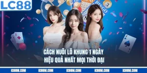 Cách Nuôi Lô Khung 1 Ngày Hiệu Quả Nhất Mọi Thời Đại