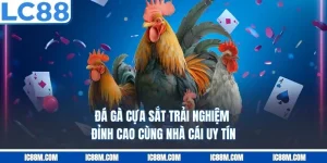 Đá Gà Cựa Sắt – Trải Nghiệm Đỉnh Cao Cùng Nhà Cái Uy Tín LC88