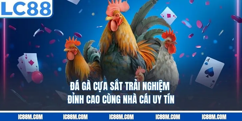 Đá Gà Cựa Sắt – Trải Nghiệm Đỉnh Cao Cùng Nhà Cái Uy Tín LC88