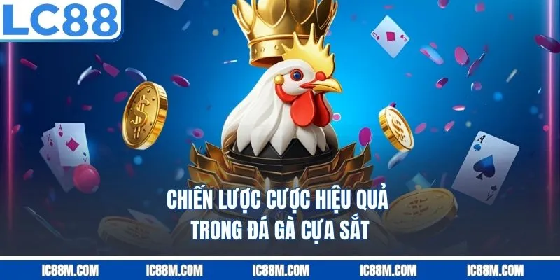 Những Lưu Ý Khi Tham Gia Đá Gà Cựa Sắt